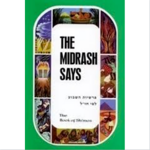 The Midrash Says: The Narrative of the Weekly Torah-portion in the Perspective of Our Sages (Five Vol. Set)