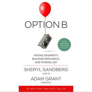 Option B: Facing Adversity, Building Resilience, and Finding Joy